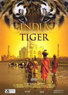 《印度-虎的国度》