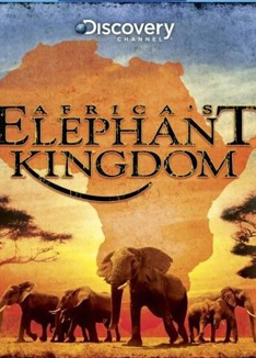 DiscoveryHD - 非洲的大象王国 