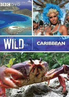 BBC - 野性加勒比